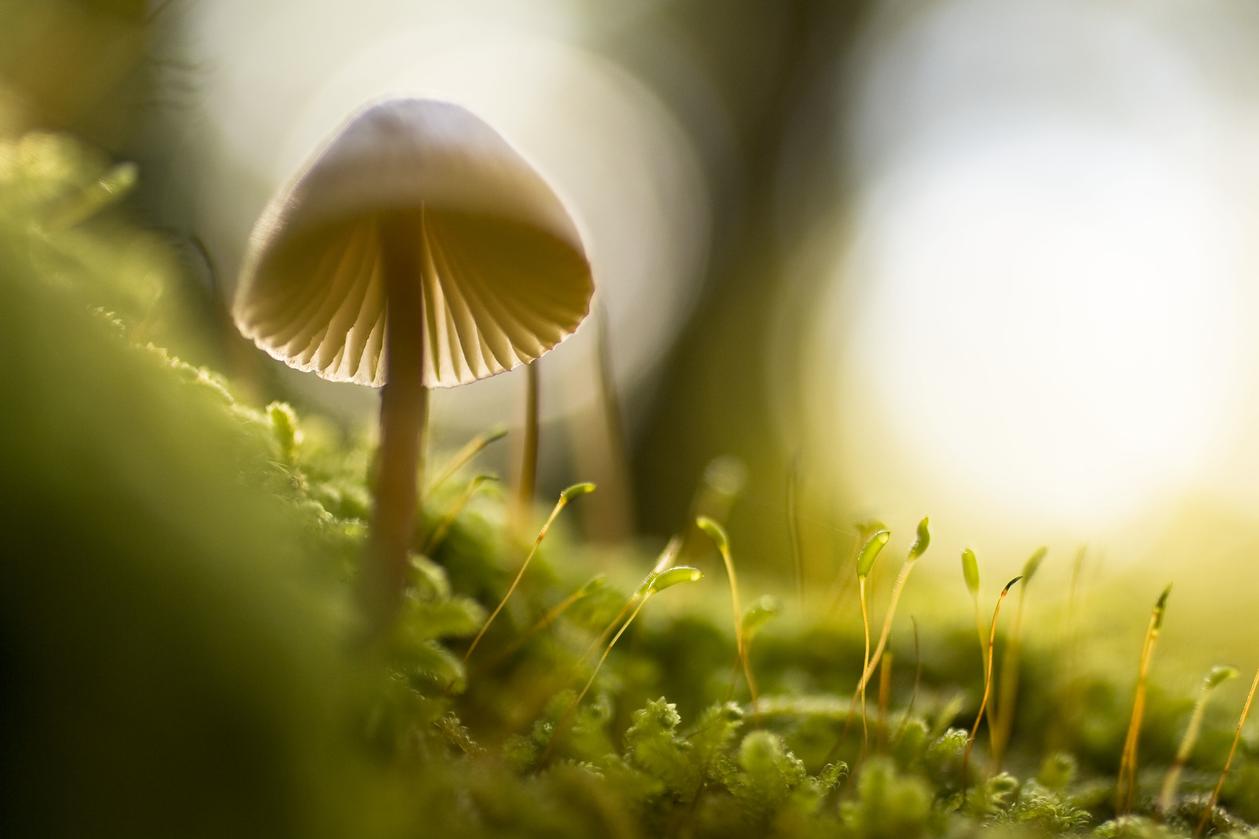 Et dolor et corporis quibusdam ab aspernatur natus consequatur